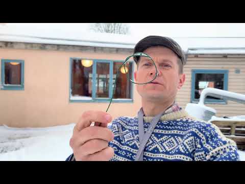 Video: I Voronezh Udføres Der Eksperimenter For At Fryse Mennesker I Kryokamre - Alternativ Visning