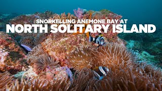 Snorkelling Anemone Bay, North Solitary Island | Destination NSW Highlight Reel