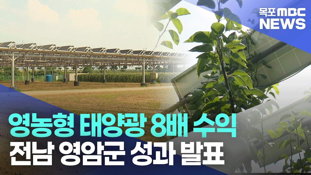 [AI뉴스] 영농형 태양광 8배 수익 전남 영암군 성과 발표