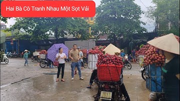 Tranh Nhau Vải Tại Cổng Áp Giá Vải Ngọt Từ 25k Quay Đầu | Vải Thiều Lục Ngạn Bắc Giang