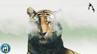 Kangai Kadaram - Eelam song | கங்கை கடாரம் - ஈழப் பாடல்