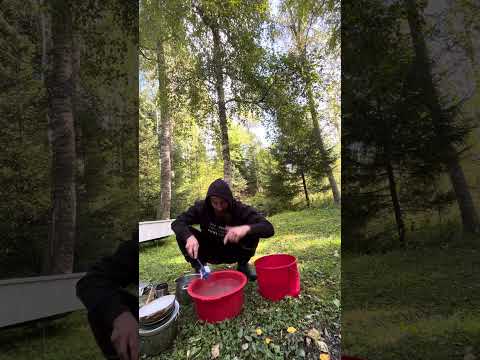 Traumat ja tarina