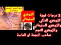 اسرار وعلامات 3درجات قوية لزوهري ملكي حرف M والزوهري السليماني والزوهري النجم صاحب النجمة او الماسة 