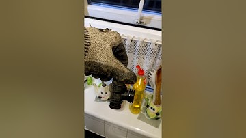 Worcester Bosch PRV change - the easy way!