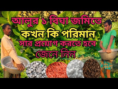 ভিডিও: কে প্রথম আলু চাষ করেন?