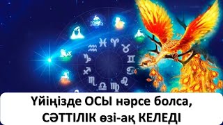 Үйіңізде ОСЫ нәрсе болса, СӘТТІЛІК өзі-ақ КЕЛЕДІ