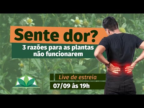 Vídeo: Solução de problemas de alho em disquete: razões para as plantas de alho caírem