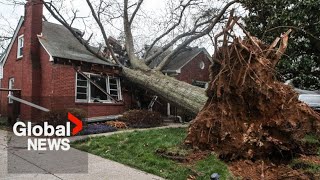 Celebrity US tornadoes: About 40 million people under severe weather warning Wealth