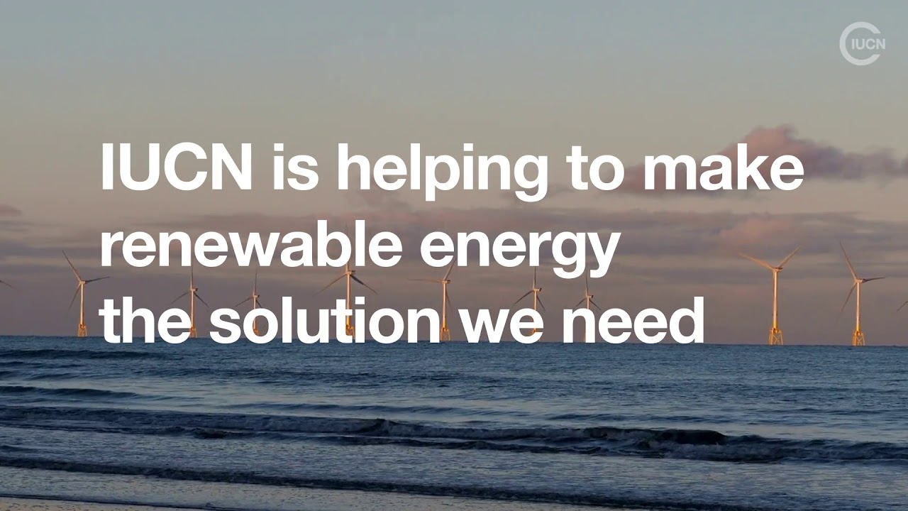 Renewables & Biodiversity: Addressing the impacts associated with the energy transition