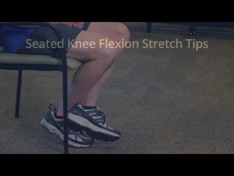 Knee Strengthening Exercise: Seated Knee Flexion Stretch