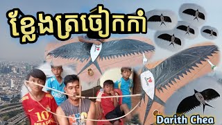 ខ្លែងត្រចៀកកាំ Swiftlet kites flying. Khmer kites