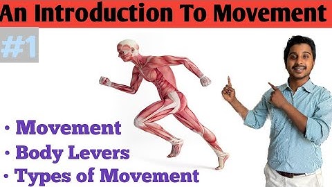 An Introduction to movement Exercise Therapy|#1|Movements,Body levers,Type | physiotherapy