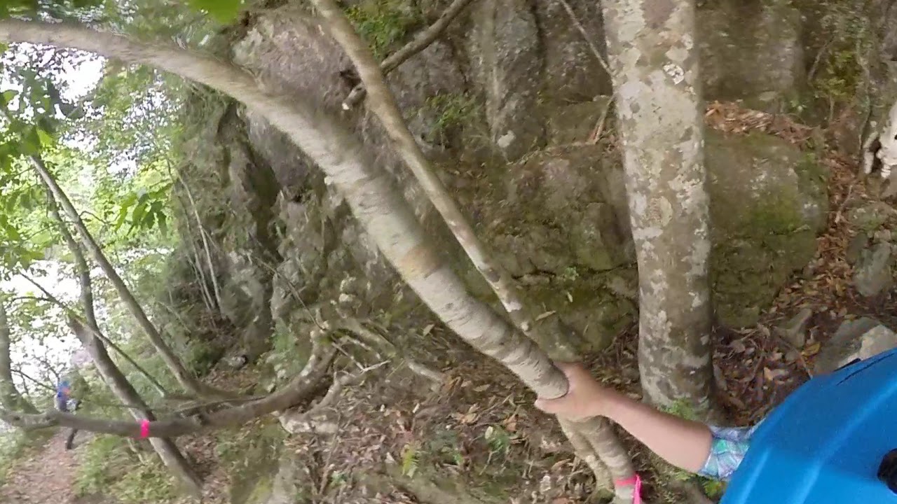 大杉谷登山道vr 大日嵓 だいにちぐら から能谷 のうだに Youtube 大杉谷登山道vr 大日嵓 だいにちぐら から能谷 のうだに Youtube