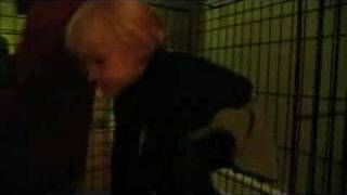 Rescued Pit Bull Roxy Caged With Kid