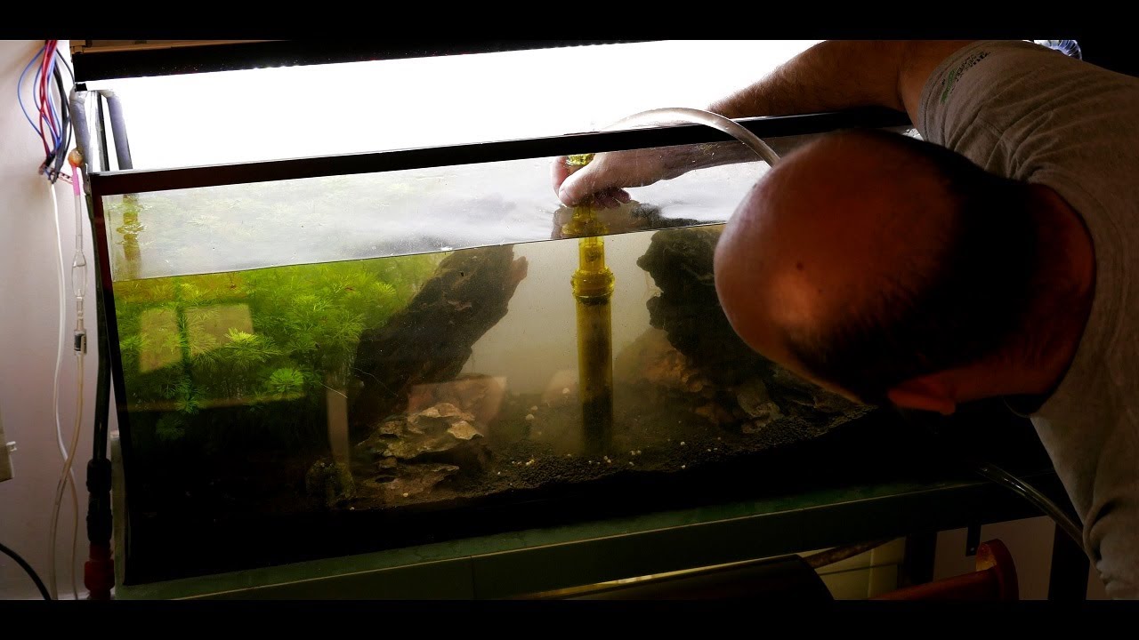 Aquarium fast restart by Killer81 YouTube