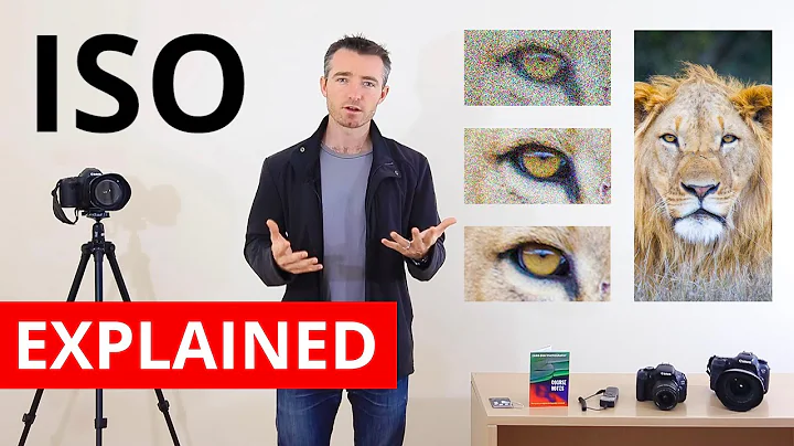 ISO: What It Is & How To Use It - Photography Cour...