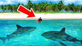 People Can't Stop Shark Attacks on This Island + Other Shark Facts Net Worth