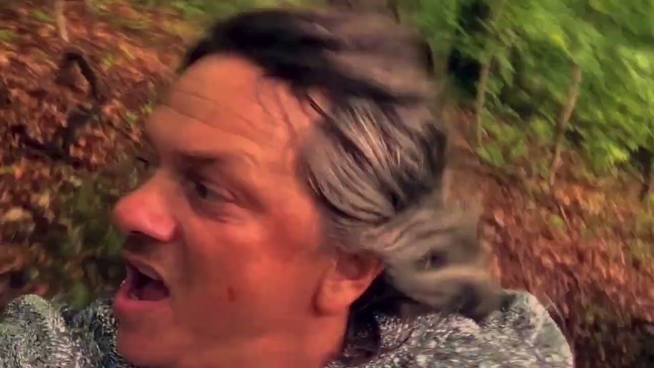 Run for Your Life – Dream Beam (Official Music Video