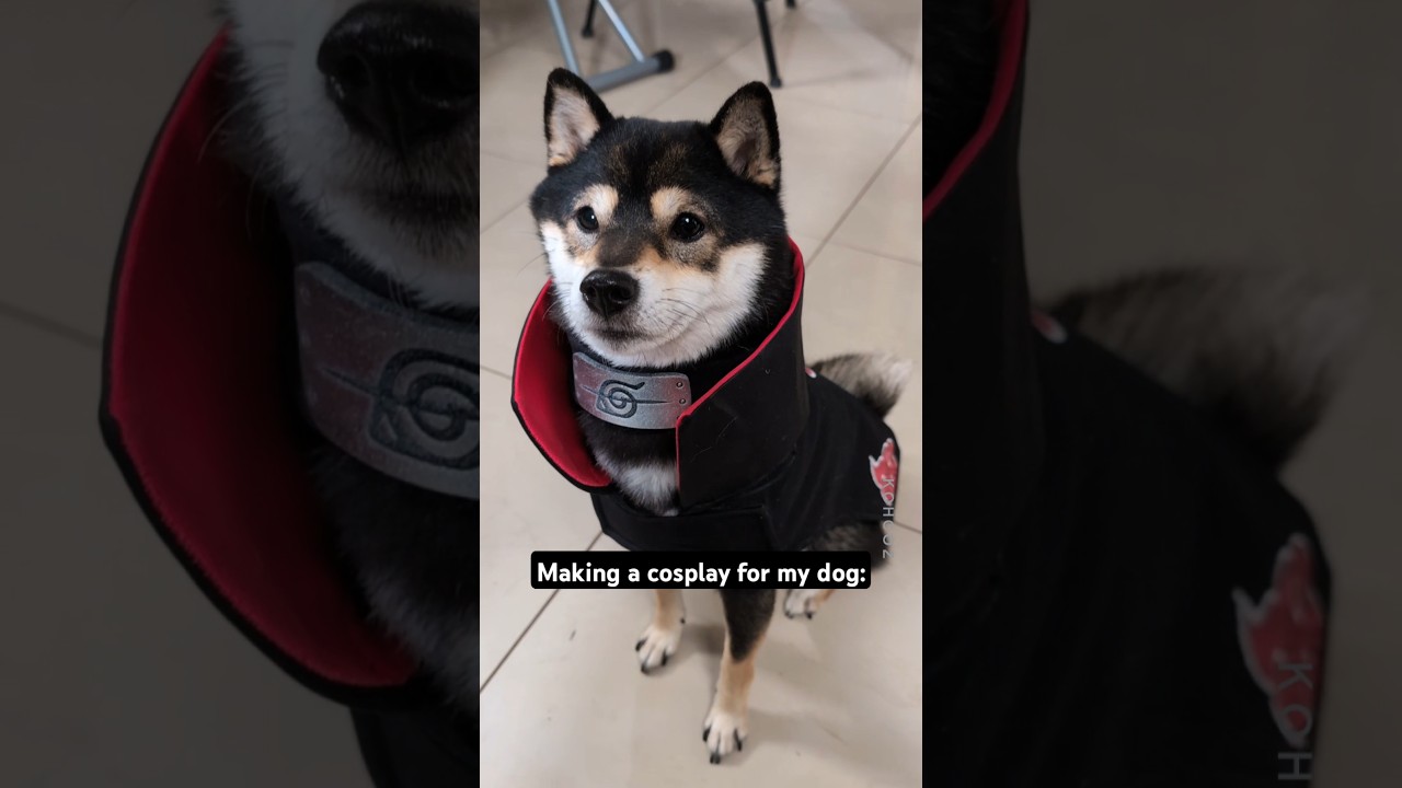 she looks so good?? @xToollaser #xtool #itachi #akatsuki #cosplay #shiba #m1ultra #xtoolm1ultra