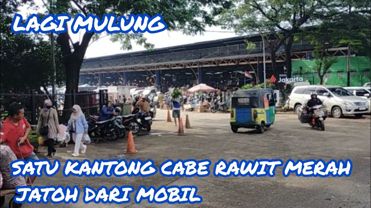 DI KAGET KAN SATU KANTONG CABE RAWIT JATOH DARI MOBIL 🧐😱😱🙈