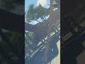 Planet Coaster 2 Wasserpark Walking In First Person