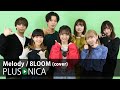 Melody / 8LOOM (cover)