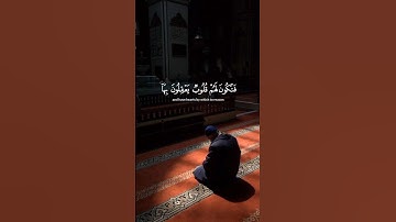 قرأن كريم 🤍 سورة الحج القارئ ياسر الدوسري #استمعوا_وانصتوا_لعلكم_ترحمون #قرآن #راحة #قران_كريم