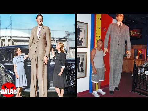 Vidéo: L'homme le plus grand de l'histoire du monde. Les personnes les plus grandes