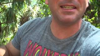 The Video With Half my Head Cut Off