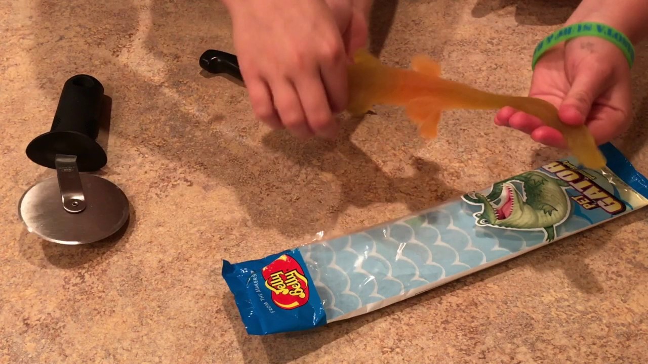 Jelly Belly Pet Gator Gummi Candy Food Review YouTube