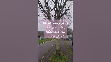 #سورة_البقرة #surahalbaqarah #قران_كريم #البقرة #سورة #tilawat #اكسبلور #قرآن