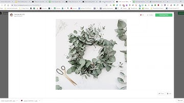 Pixlr Editor Getting Started