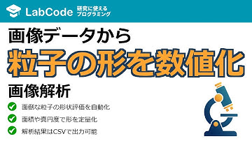 【画像解析入門 #7】ImageJとPythonで画像解析を自動化！粒子の形状を定量的に分類する実践講座