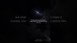 The Greatest Softner of Heart! #heart #sorftner #changheart #love #islan