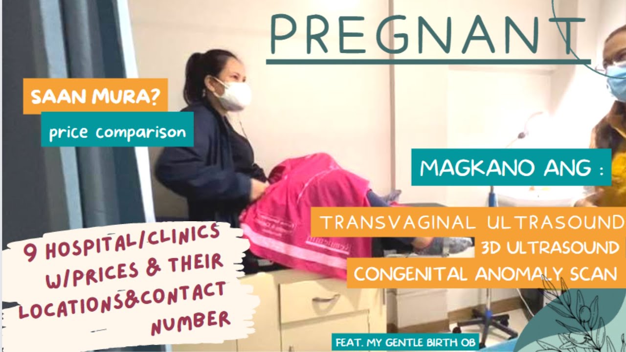Pregnantpriss