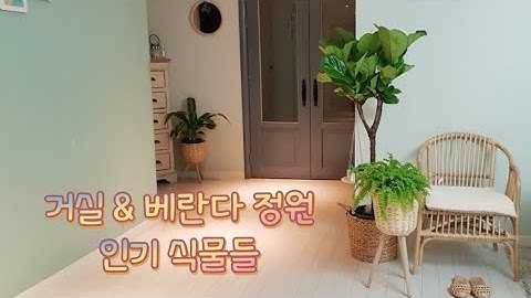 거실과 베란다 정원에 사는 식물들plants that live in the living room and in the balcony garden.