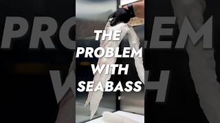 Why seabass is so expensive #seabass #fish #butcher #cooking #seafood