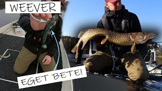 FINA FISKAR PÅ EGET BETE! by Lentalure 865 views 1 year ago 9 minutes, 1 second