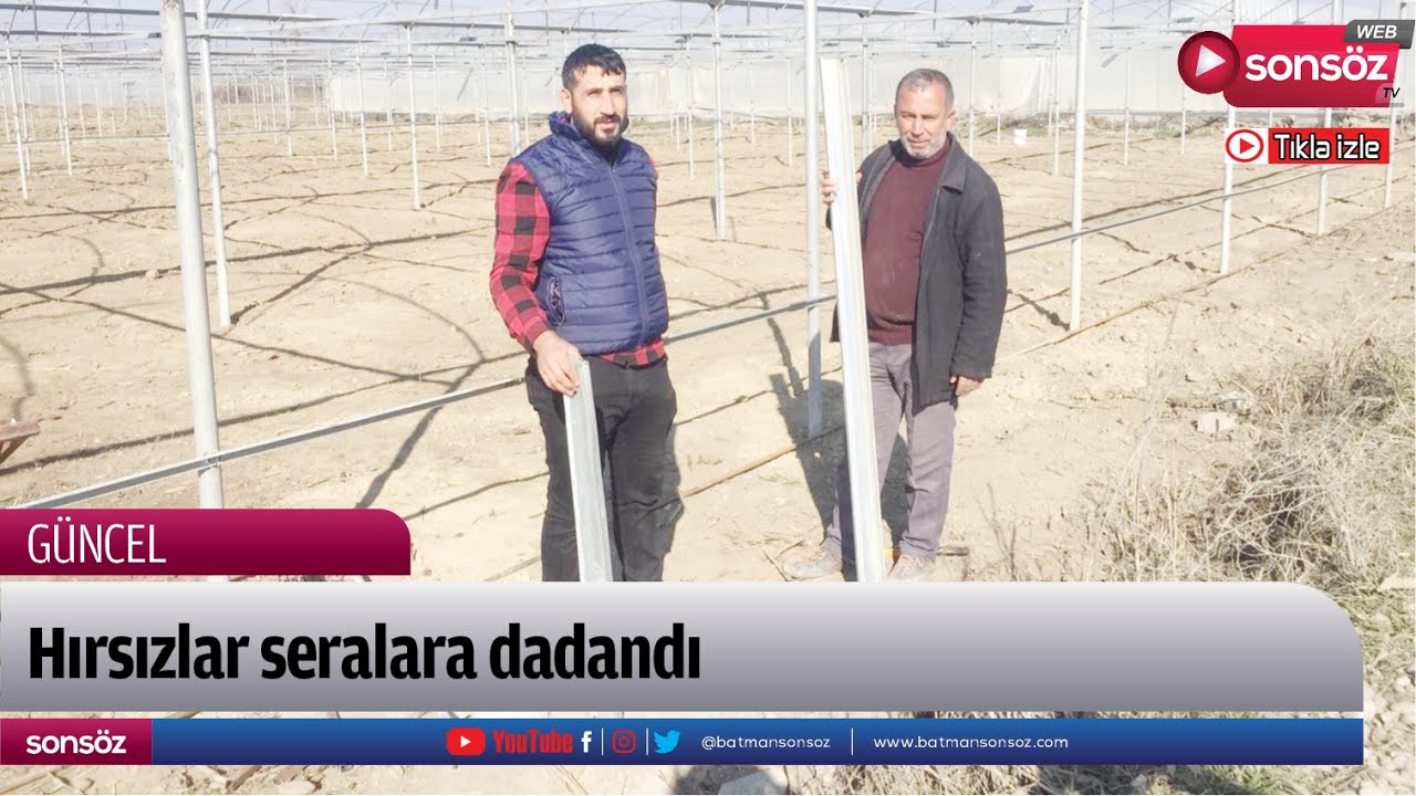 Hırsızlar seralara dadandı