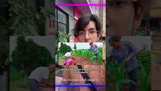 30 milhões de homens na China nunca vão casar 🇨🇳.