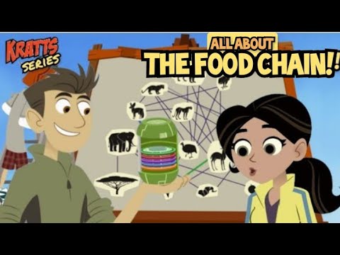 wild Kratts - the chain food game - full episode - Kratts series - HD - science - #krattsseries