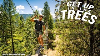 The TREE to TREE Adventure Course in North Idaho