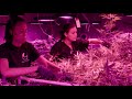 Growers Episode 2 - District Growers