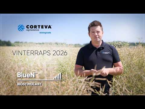 BlueN Vinterraps 2026