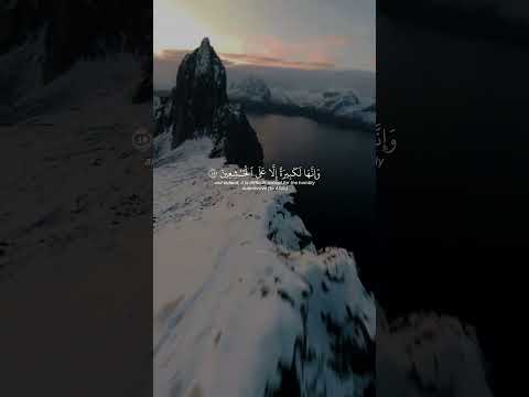 سورة البقرة الاية 44 46 القارئ عمير شميم Quran Quranrecitation