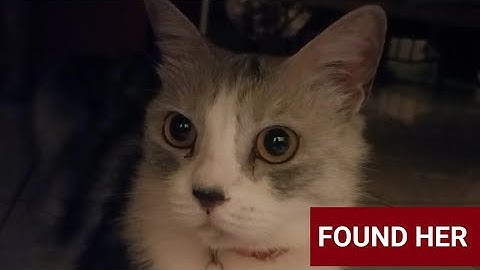 This "Mrrp purr" wasn