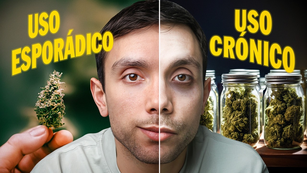 Efectos en la Memoria, Aprendizaje y Salud Mental I Dr. Responde mis Preguntas