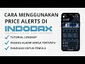 Cara Menggunakan Price Alerts Di Indodax Untuk Pemula