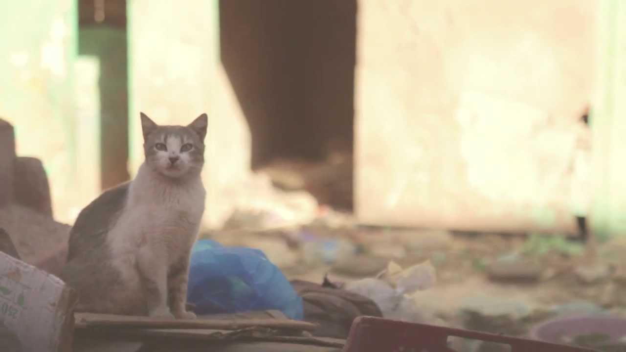 Silverstar - Music Is Magic (Official Video)