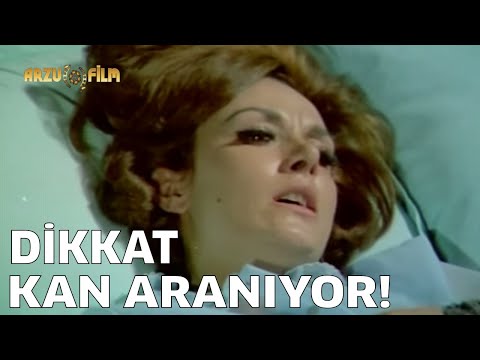 Dikkat Kan Aranıyor - Tek Parça